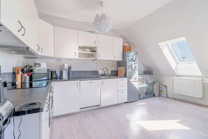 Prodej rodinného domu, Štěpánov, Novoveská, 210 m2