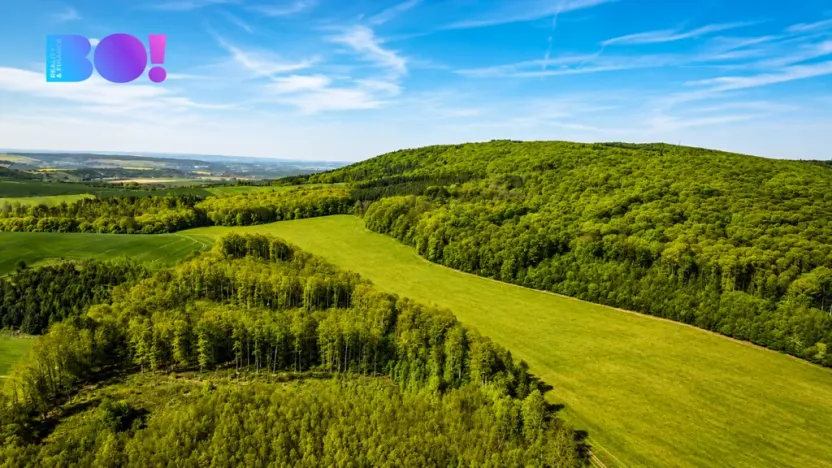 Prodej pozemku, Zástřizly, 512 m2