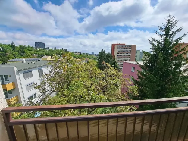 Prodej bytu 2+1, Brno, Plevova, 50 m2