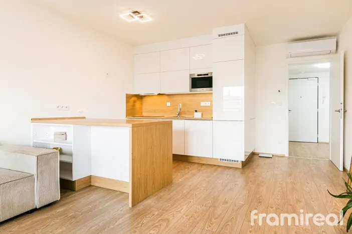 Pronájem bytu 2+kk, Brno - Zábrdovice, Bratislavská, 65 m2
