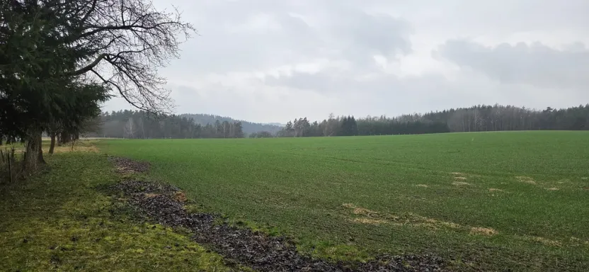 Prodej pozemku, Chocnějovice - Buda, 2533 m2