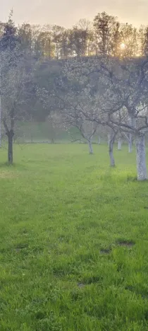Prodej pozemku pro bydlení, Holštejn, 1229 m2