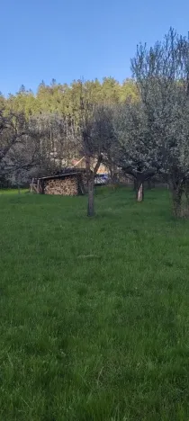 Prodej pozemku pro bydlení, Holštejn, 1229 m2