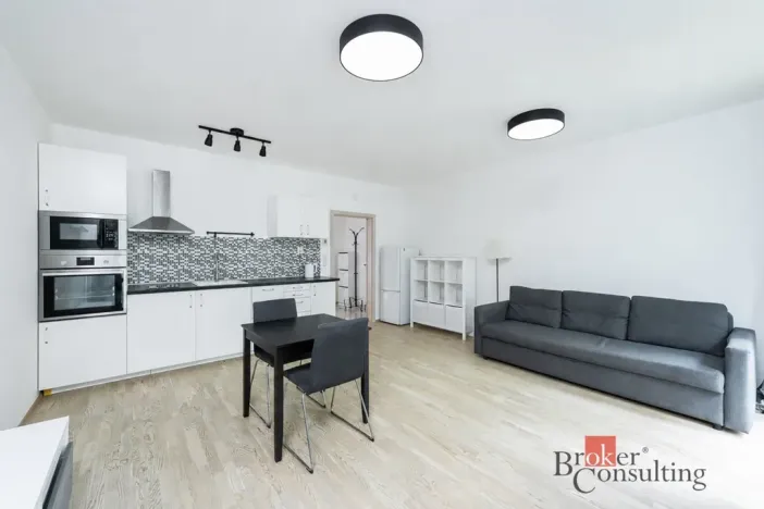 Pronájem bytu 1+kk, Praha, Olšanská, 39 m2