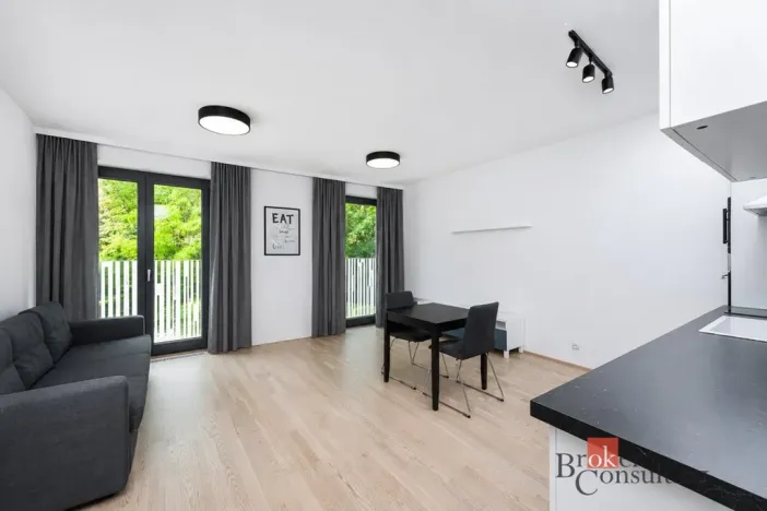 Pronájem bytu 1+kk, Praha, Olšanská, 39 m2