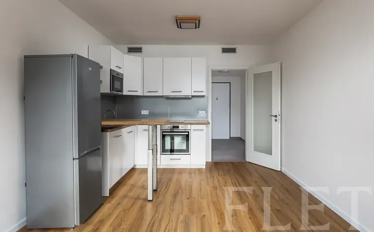 Pronájem bytu 1+kk, Praha - Vysočany, Smržových, 33 m2