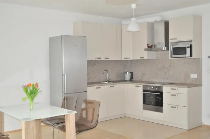 Pronájem bytu 1+kk, Praha - Žižkov, Olšanská, 40 m2