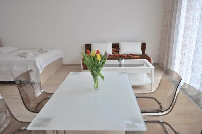 Pronájem bytu 1+kk, Praha - Žižkov, Olšanská, 40 m2