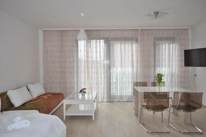 Pronájem bytu 1+kk, Praha - Žižkov, Olšanská, 40 m2