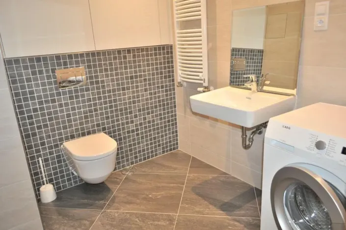 Pronájem bytu 1+kk, Praha - Žižkov, Olšanská, 40 m2