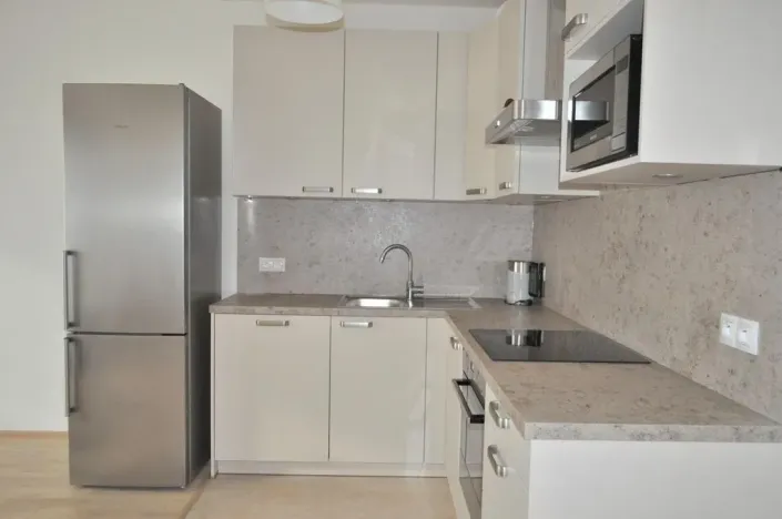 Pronájem bytu 1+kk, Praha - Žižkov, Olšanská, 40 m2