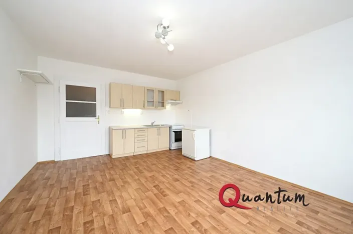 Pronájem bytu 1+kk, Praha - Vinohrady, Fričova, 31 m2