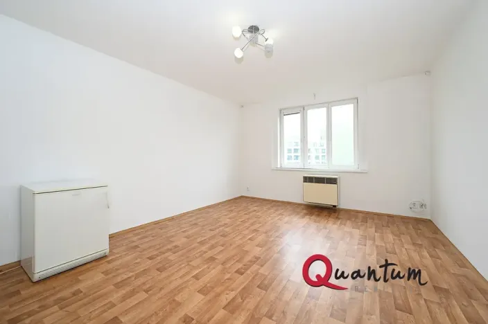 Pronájem bytu 1+kk, Praha - Vinohrady, Fričova, 31 m2