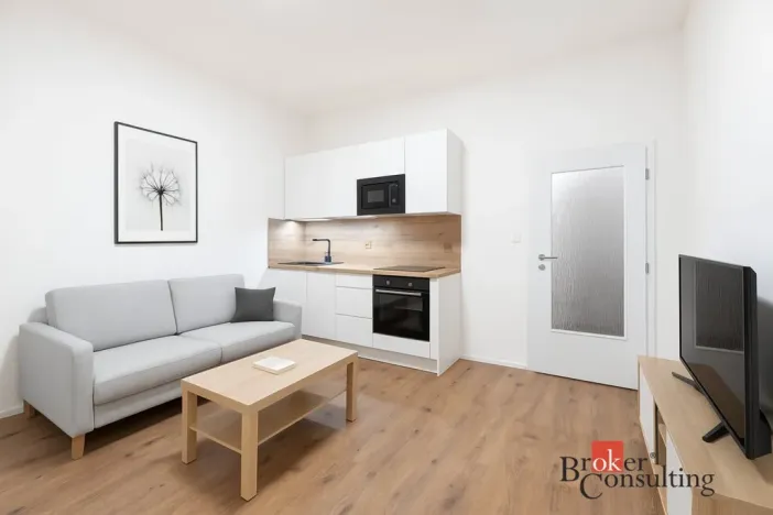 Pronájem bytu 1+kk, Ostrava - Přívoz, Palackého, 22 m2