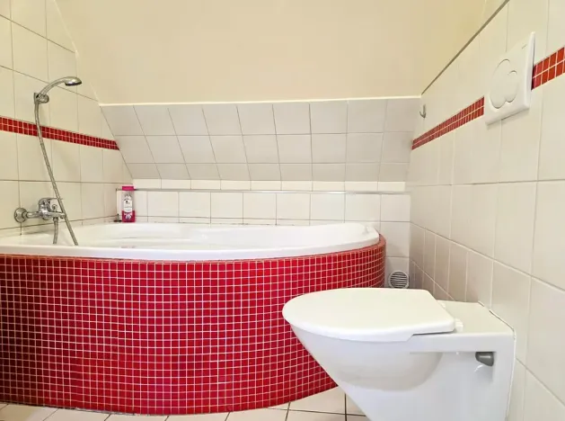 Prodej ubytování, Třinec, Husova, 360 m2