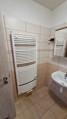 Pronájem bytu 3+kk, Teplice, Emilie Dvořákové, 65 m2