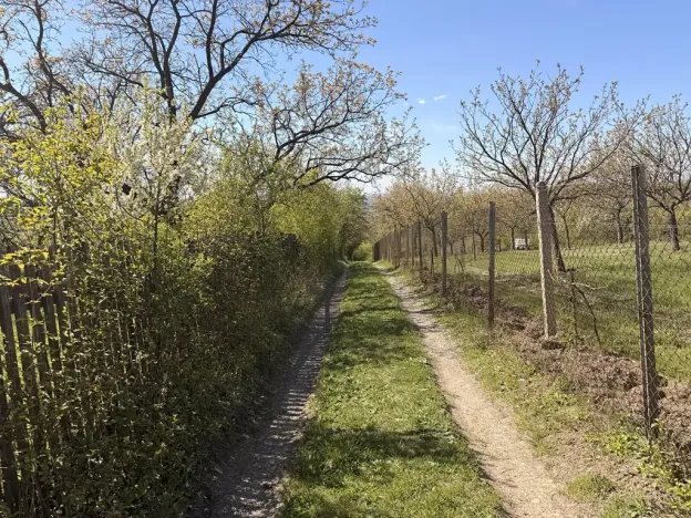 Prodej zahrady, Slavkov u Brna, Palackého náměstí, 793 m2