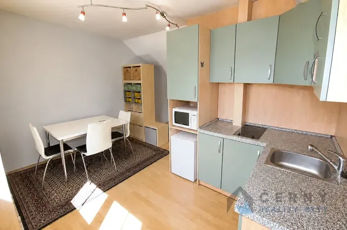 Prodej bytu 1+kk, Liberec, U Sadu, 29 m2