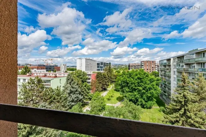 Prodej bytu 2+1, Praha - Karlín, Nekvasilova, 42 m2