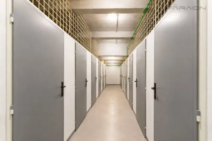 Prodej bytu 2+kk, Praha - Žižkov, Jana Želivského, 42 m2