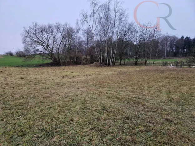 Prodej pozemku, Nepomuk - Dvorec, Polní, 1202 m2