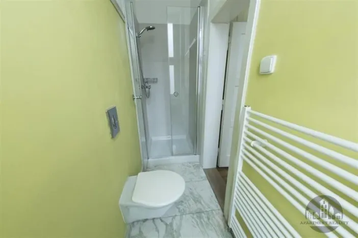 Pronájem bytu 4+kk, Praha - Vinohrady, Korunní, 95 m2