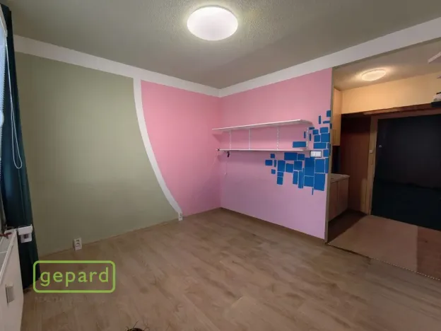 Pronájem bytu 1+kk, Bor, Borská, 20 m2