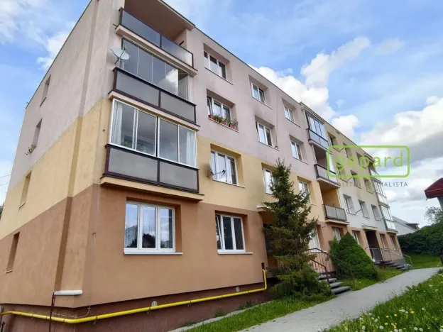 Prodej bytu 1+kk, Bor, Borská, 20 m2