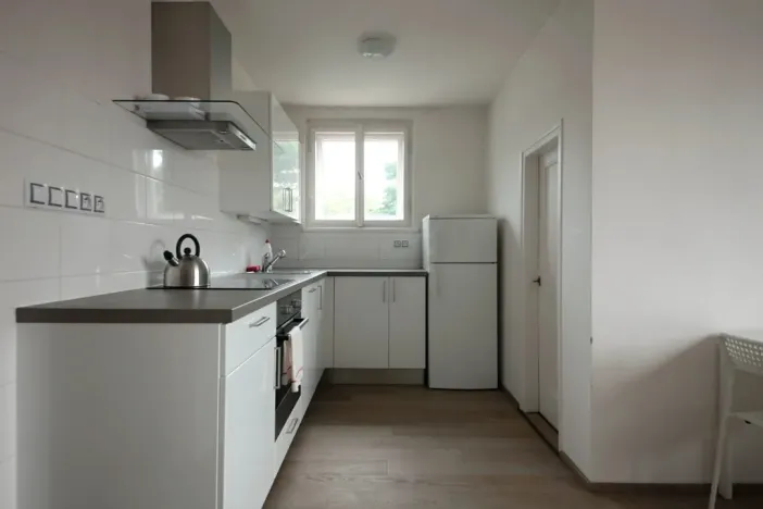 Pronájem bytu 2+kk, Praha - Vinohrady, Irkutská, 48 m2