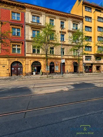 Prodej bytu 2+kk, Praha - Vinohrady, Korunní, 54 m2