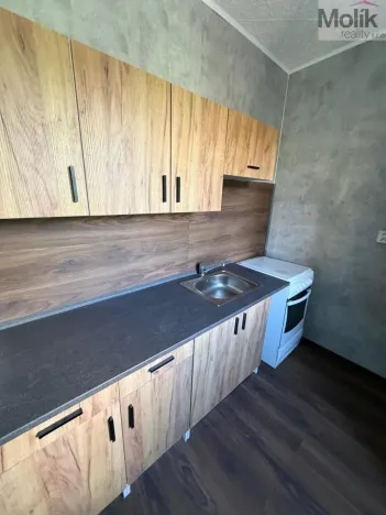 Prodej bytu 2+1, Most, Jaroslava Vrchlického, 54 m2