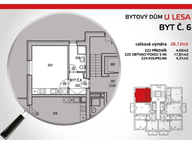 Pronájem bytu 1+kk, České Budějovice - České Budějovice 2, U Lesa, 26 m2