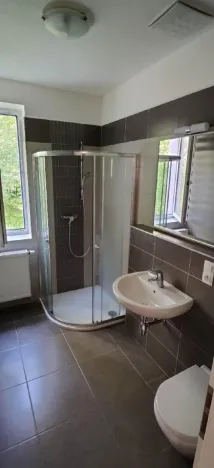 Pronájem bytu 1+kk, České Budějovice - České Budějovice 2, U Lesa, 26 m2