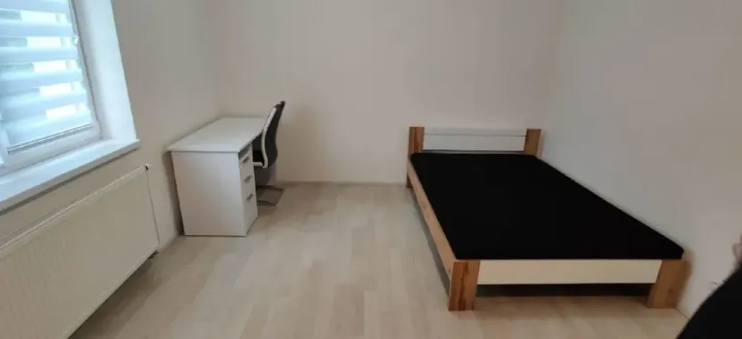 Pronájem bytu 1+kk, České Budějovice - České Budějovice 2, U Lesa, 26 m2