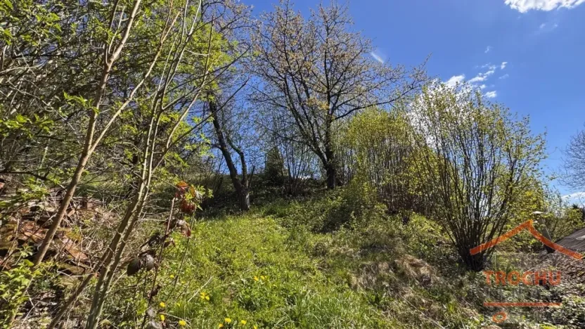 Prodej rodinného domu, Skuhrov nad Bělou, 46 m2