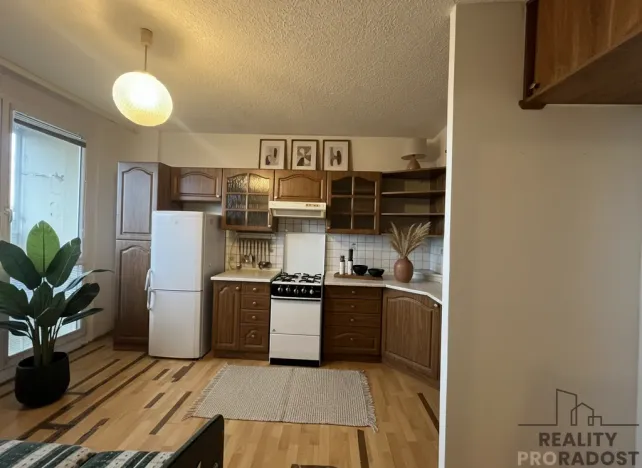 Pronájem bytu 1+1, Duchcov, Vrchlického, 35 m2