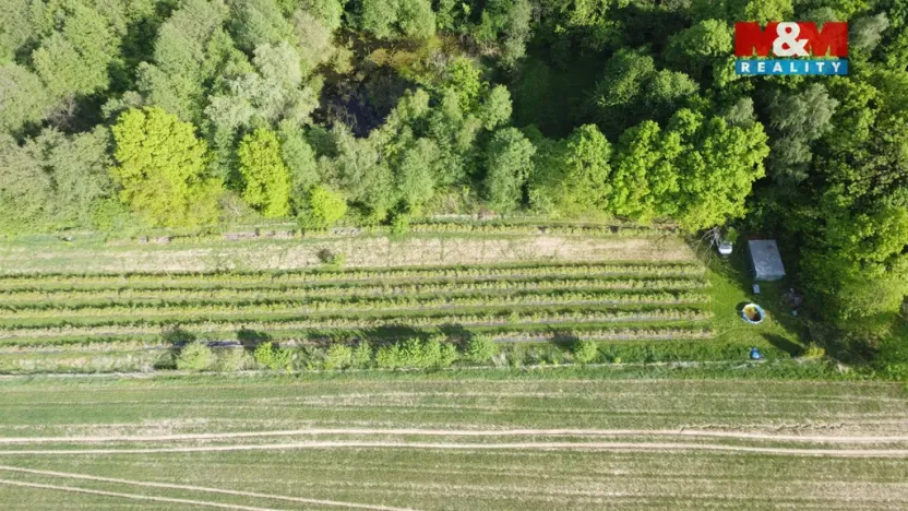Prodej pole, Petrovice u Karviné, 6810 m2