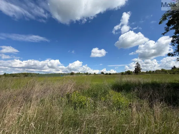 Prodej pozemku pro bydlení, Skršín, 4578 m2