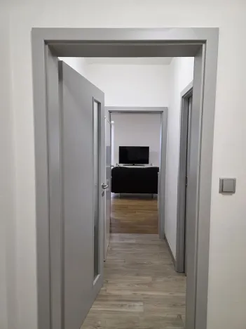 Pronájem bytu 1+kk, Plzeň, Na Rybníčku, 51 m2