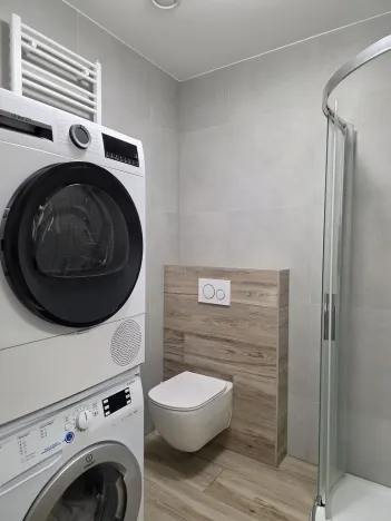 Pronájem bytu 1+kk, Plzeň, Na Rybníčku, 51 m2