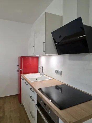 Pronájem bytu 1+kk, Plzeň, Na Rybníčku, 51 m2