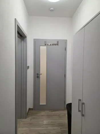 Pronájem bytu 1+kk, Plzeň, Na Rybníčku, 51 m2