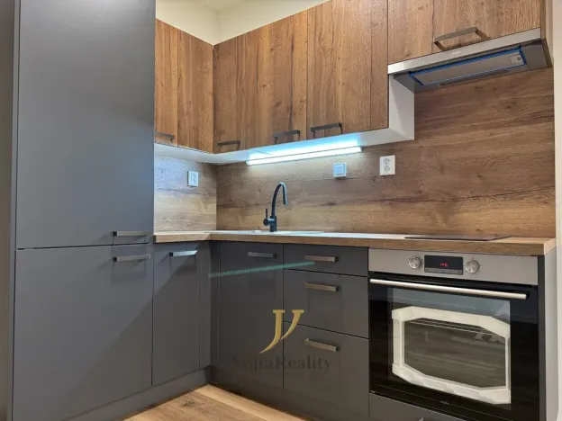 Pronájem bytu 1+kk, Olomouc, Janského, 52 m2