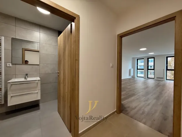 Pronájem bytu 1+kk, Olomouc, Janského, 52 m2