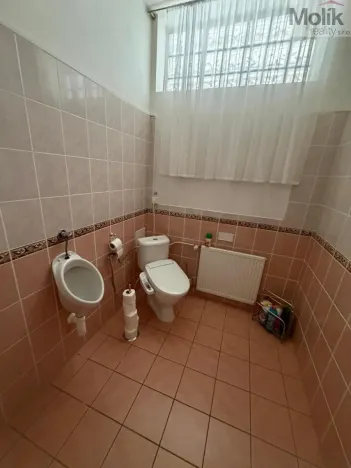 Pronájem kanceláře, Most, Růžová, 167 m2