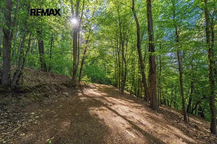 Prodej chaty, Smědčice, 55 m2
