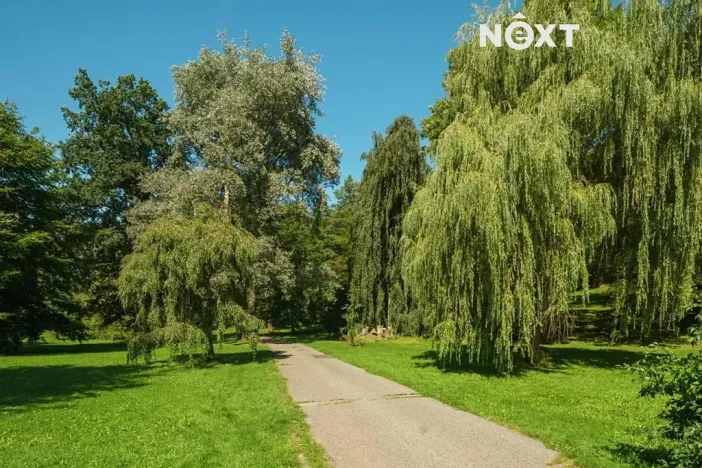 Pronájem bytu 1+1, Česká Lípa, Roháče z Dubé, 40 m2