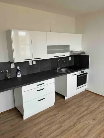 Pronájem bytu 1+1, Děčín, Dvořákova, 43 m2