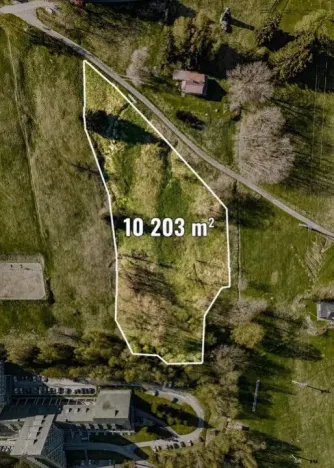Prodej louky, Špindlerův Mlýn, 10203 m2