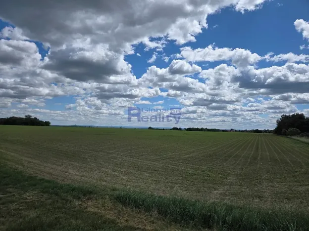 Prodej pozemku, Osice, 12374 m2